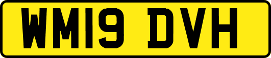 WM19DVH