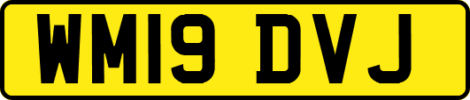 WM19DVJ