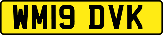 WM19DVK