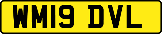 WM19DVL