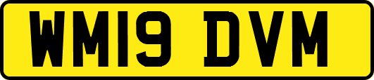 WM19DVM