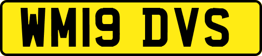 WM19DVS