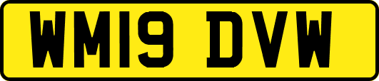 WM19DVW