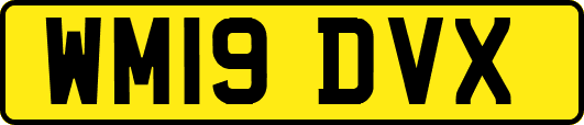 WM19DVX