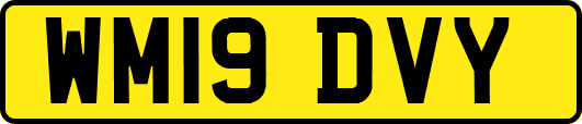 WM19DVY