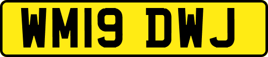 WM19DWJ