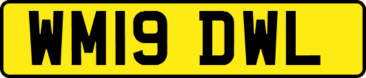 WM19DWL