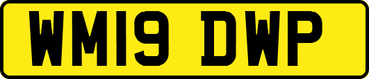 WM19DWP