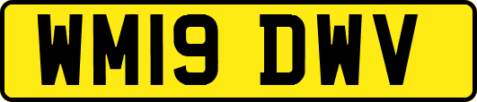 WM19DWV