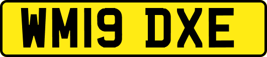 WM19DXE