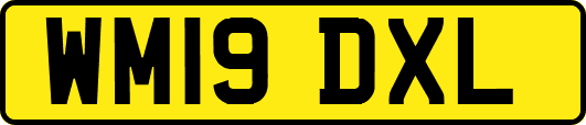 WM19DXL