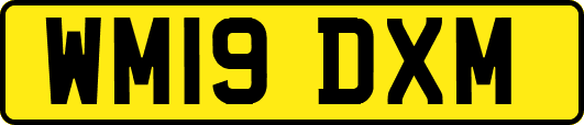WM19DXM