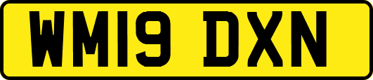 WM19DXN