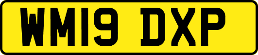 WM19DXP