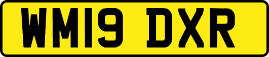 WM19DXR