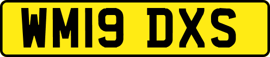 WM19DXS