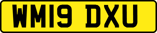 WM19DXU