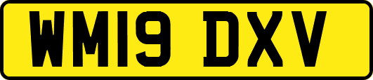 WM19DXV