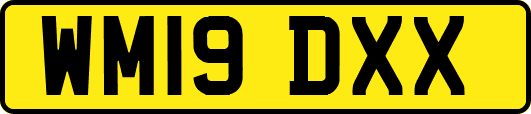 WM19DXX