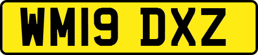 WM19DXZ