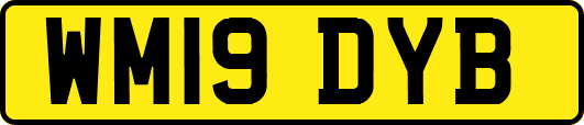 WM19DYB