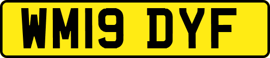 WM19DYF