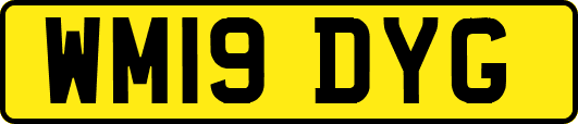 WM19DYG