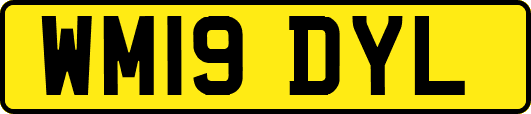 WM19DYL