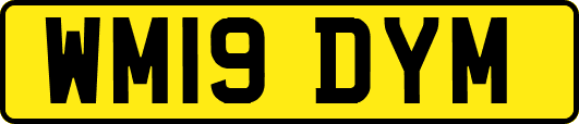 WM19DYM