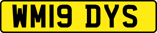 WM19DYS