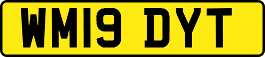 WM19DYT