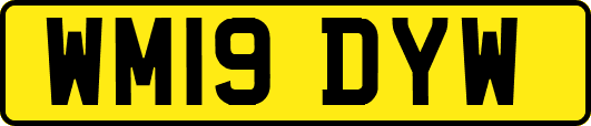 WM19DYW
