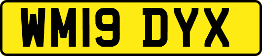 WM19DYX