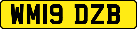 WM19DZB