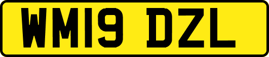 WM19DZL