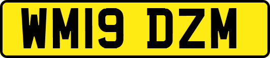 WM19DZM