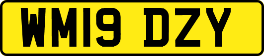 WM19DZY