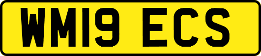 WM19ECS