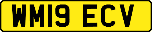 WM19ECV