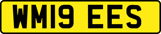 WM19EES