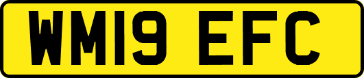 WM19EFC