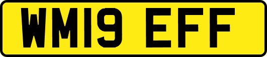 WM19EFF