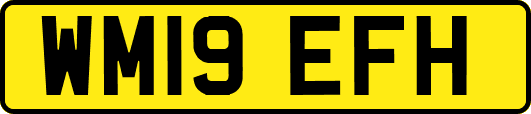 WM19EFH