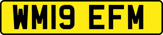 WM19EFM