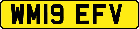 WM19EFV