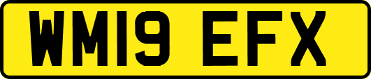 WM19EFX