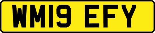 WM19EFY