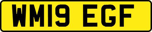 WM19EGF