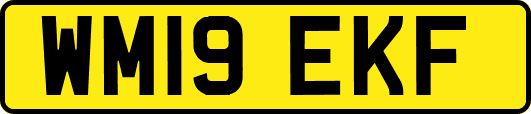 WM19EKF