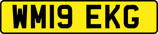 WM19EKG